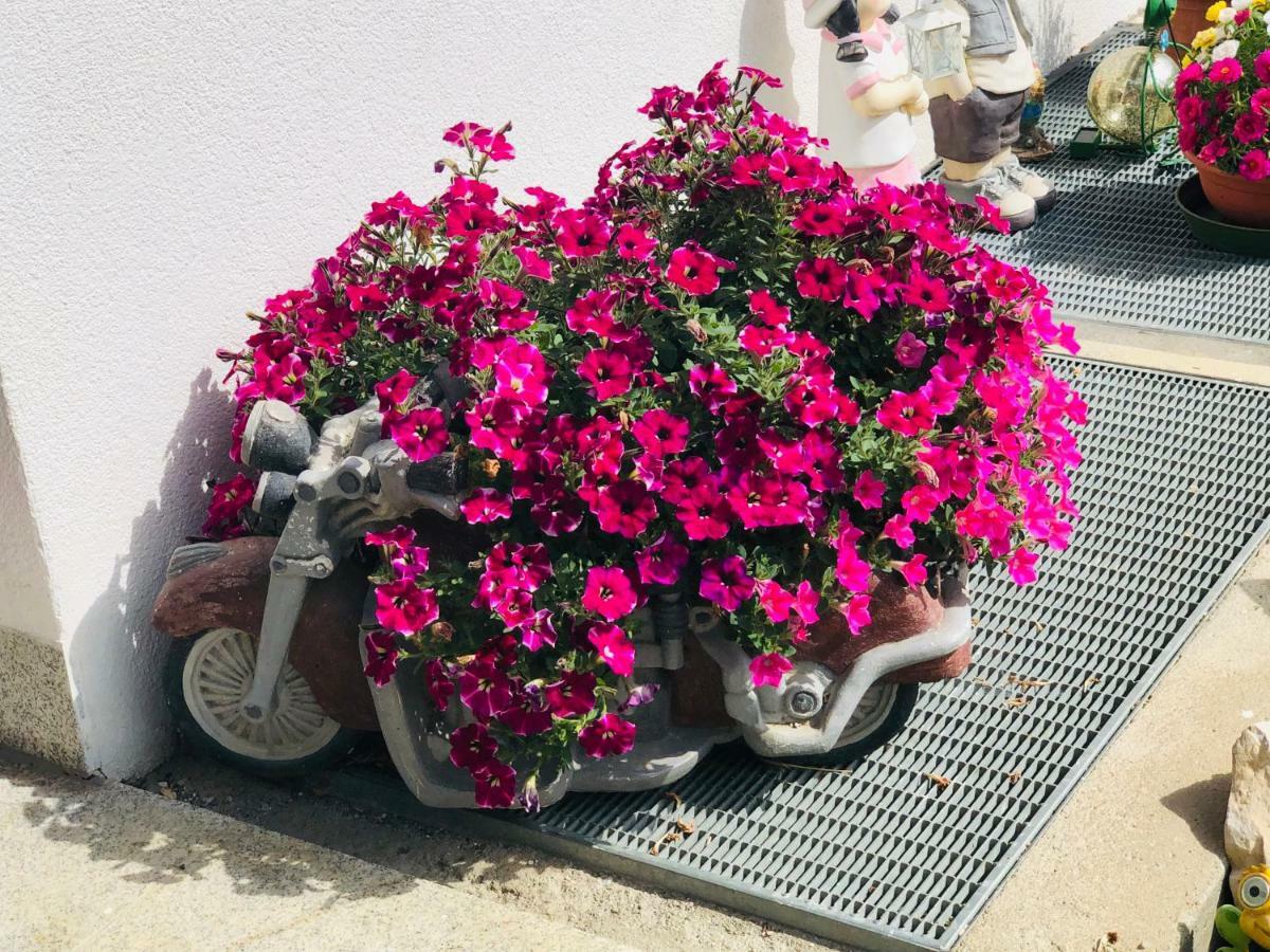 Flatscherhof San Lorenzo di Sebato Dış mekan fotoğraf