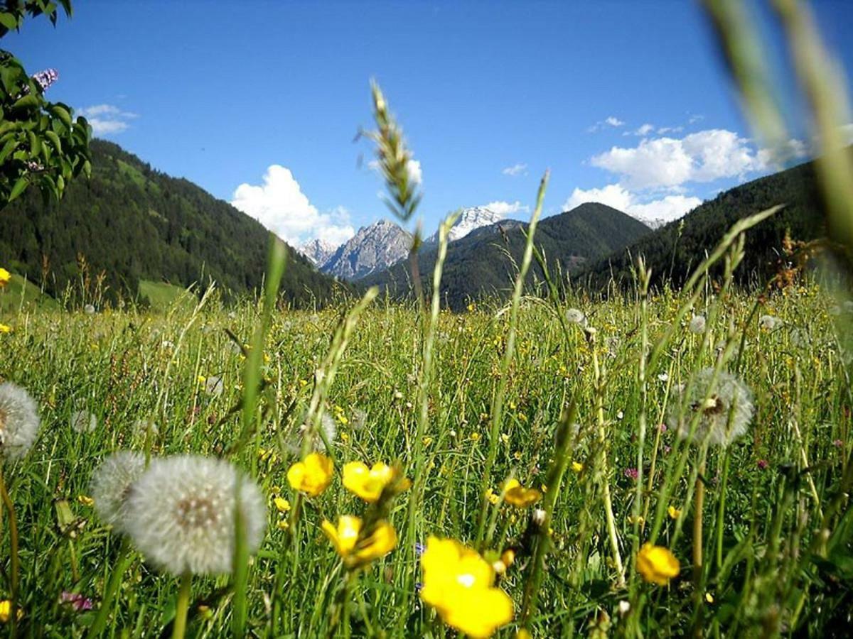 Flatscherhof San Lorenzo di Sebato Dış mekan fotoğraf